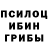 Галлюциногенные грибы прущие грибы Tanya Nisanov