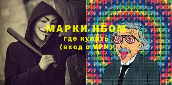 амф Няндома