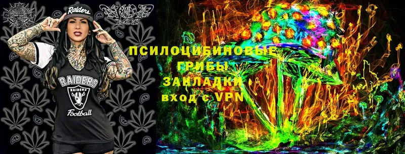 Псилоцибиновые грибы Psilocybine cubensis Конаково