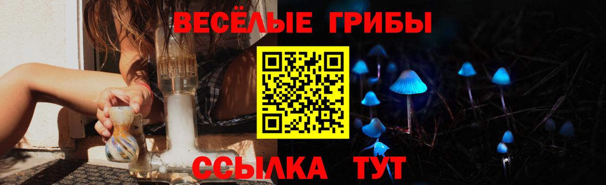 Галлюциногенные грибы GOLDEN TEACHER Конаково